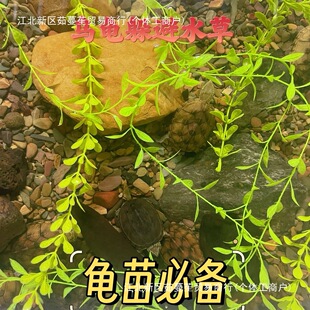 ��ˮ���~���������������ҧβ��ֹҧ������ˮ�B�����l