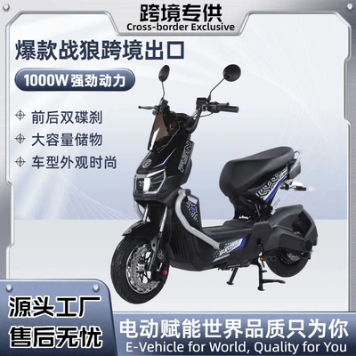 Long-Range Lithium | Motuoche Auto Parts and Accessories