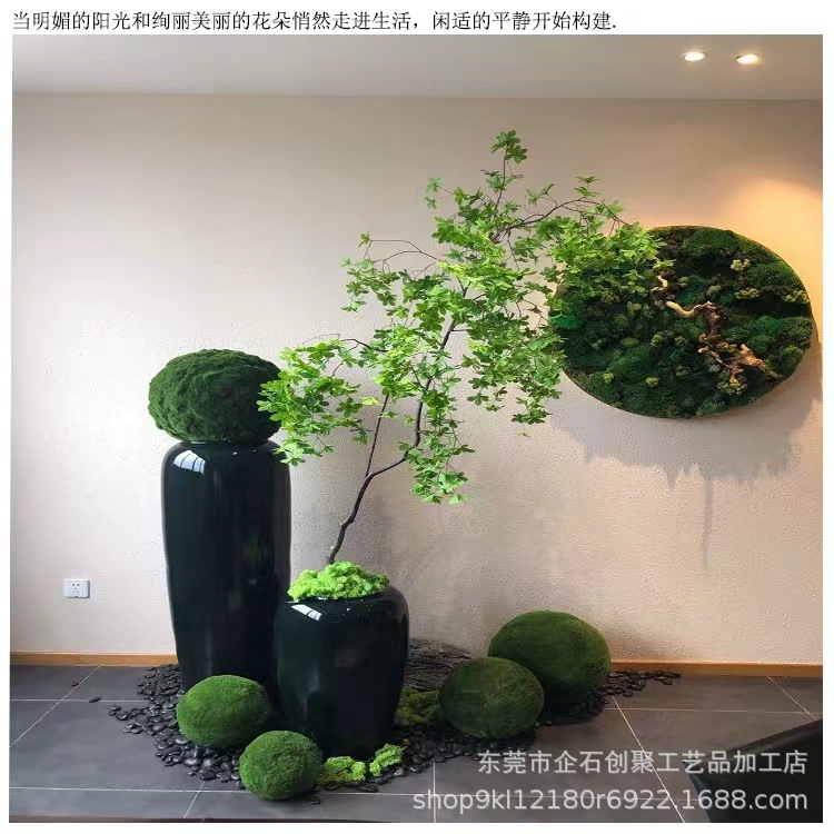 苔藓球