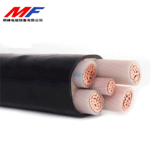 低煙無鹵電纜 低煙低鹵電纜 電纜 銅芯電纜WDZC-YJY4*25+1*16