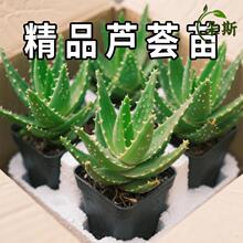 ��ҹ���J�CС���Զ���ֲ���k���҃����愓��Gֲ�҃��̨ͥԺ����