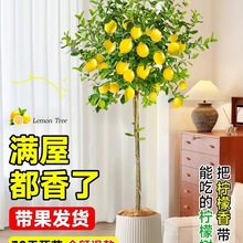 ��ˮ���ʘ䎧�����Կ͏d�Gֲ����ֲ���҃��̨����ȩ��ֲ�ļ����B