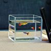 超白鱼缸懒人玻璃水族箱小型鱼缸桌面客厅斗鱼乌龟缸缸金鱼缸|ru