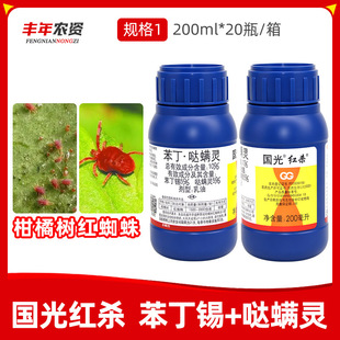 ����t��10%�����a�}�\�`���٘�t֩�댣���rș���͚��x���\��