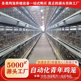 青年蛋鸡智能自动化养殖场养鸡立式多层鸡笼养殖场养鸡场养殖设备