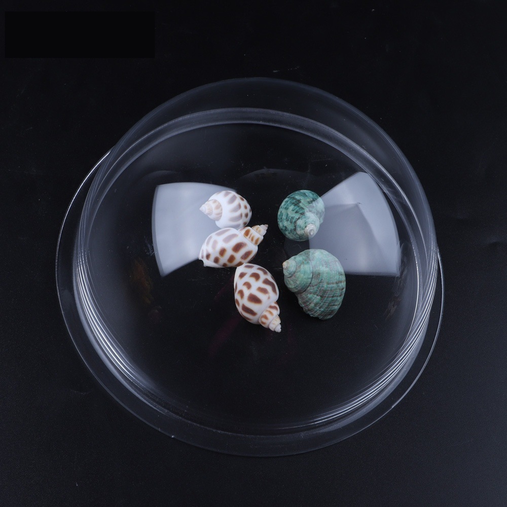 一键复制_20210605094238