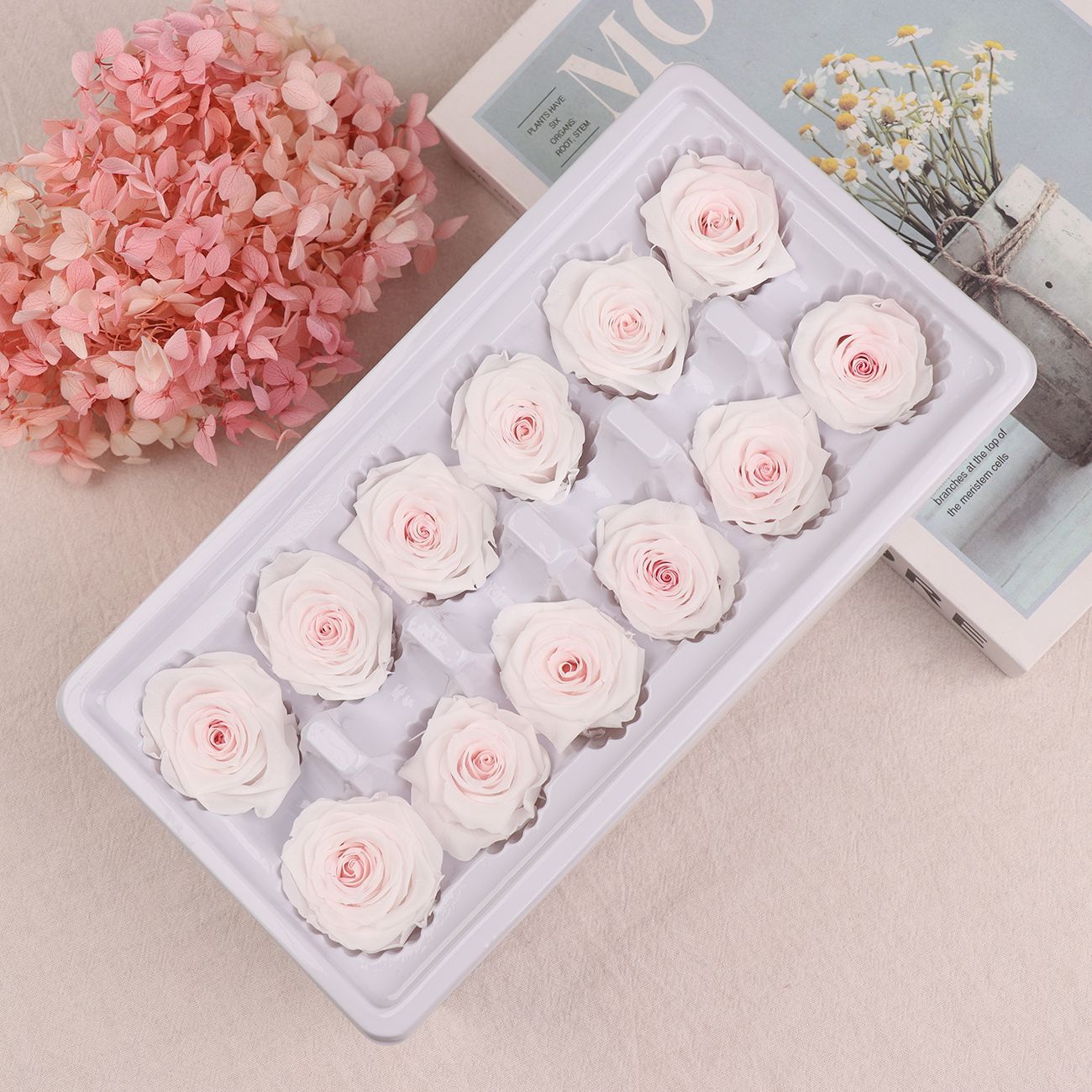 Cabezas de Rosa Eternas A+, 3-4 cm, 12 Piezas, Materiales para Manualidades Florales, Caja de Regalo, Fabricante, Venta al por Mayor