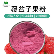 树莓粉 覆盆子粉 覆盆子提取物 现货直供 食品级 SC资质厂家现货