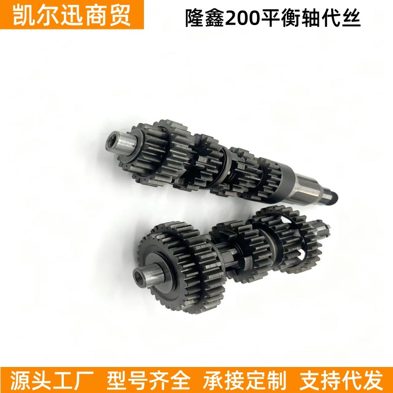 Longxin Motorcycle Parts Loncin CBPCGP200 Engine Balance Shaft Assembly (Motorcycle engine and accessories) - loncin-200