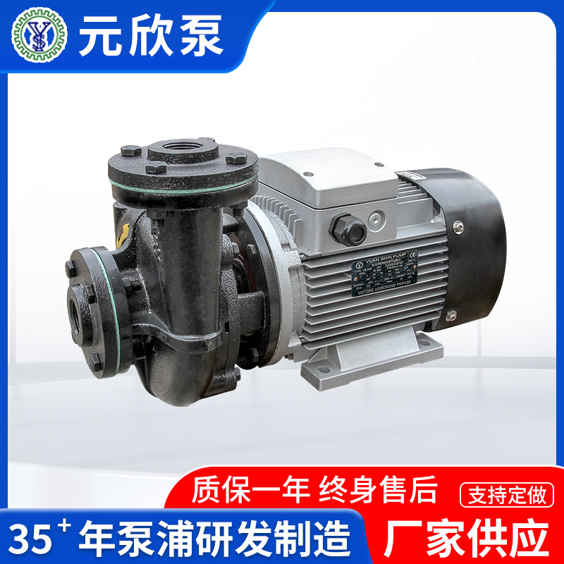 木工机械用导热油循环离心泵RGP系列热油泵卧式热水泵 YS-35D高效