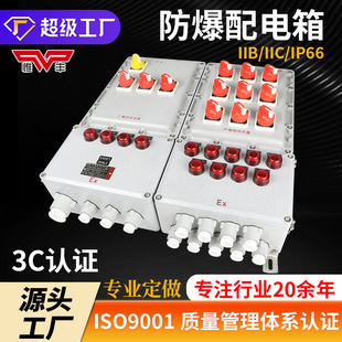 Explosion-Proof Lighting Power Distribution Box Maintenance Junction Box Instrument Positive Pressure Cabinet Button Control Switch Terminal Socket Box
