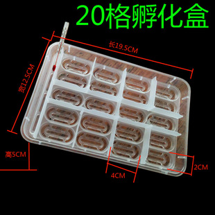 Turtle egg incubator transparent climbing pet box turtle guard Palace lizard chameleon incubator egg tray professional