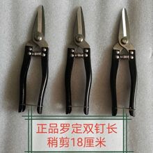 �����_�����P���֦�� �ɹ���ժ��������� �����Ҽ����Ѽ����Ӽ�