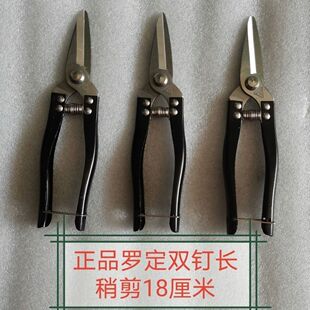 �����_�����P���֦�� �ɹ���ժ��������� �����Ҽ����Ѽ����Ӽ�