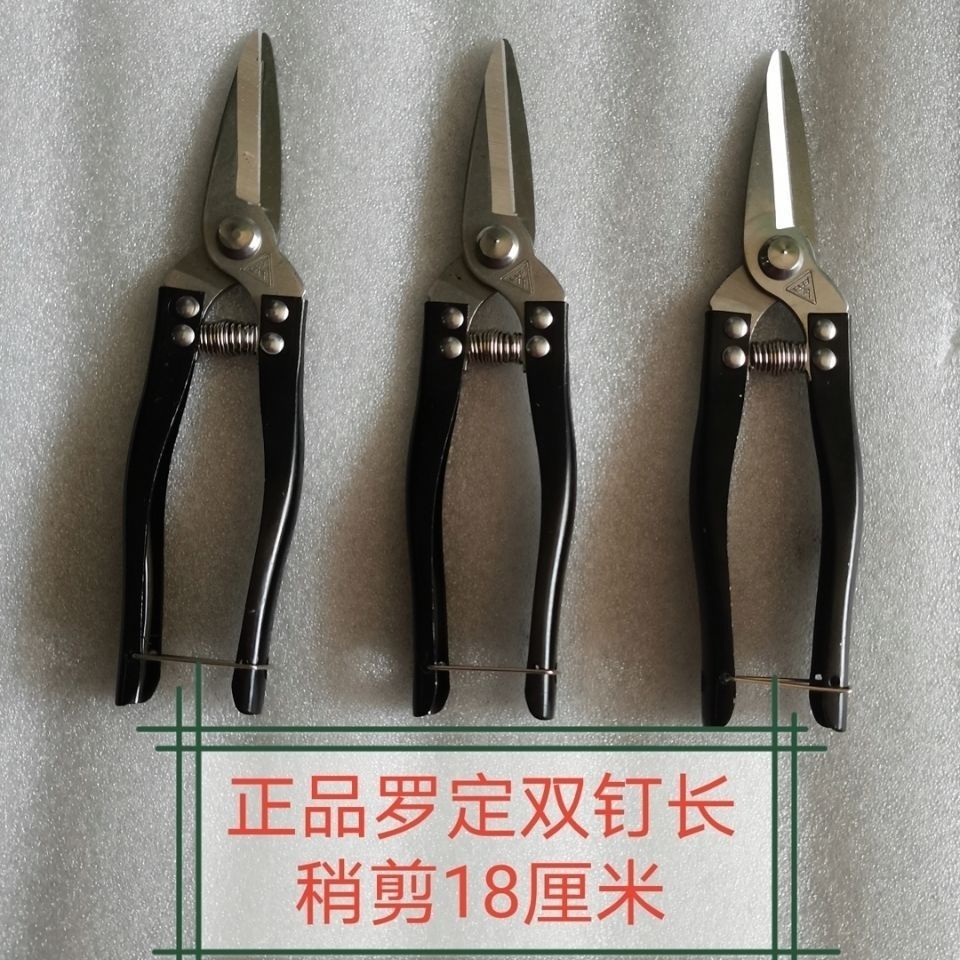 正宗罗定不锈钢修枝剪 采果剪摘果剪疏果剪 春秋梢剪葡萄剪桔子剪