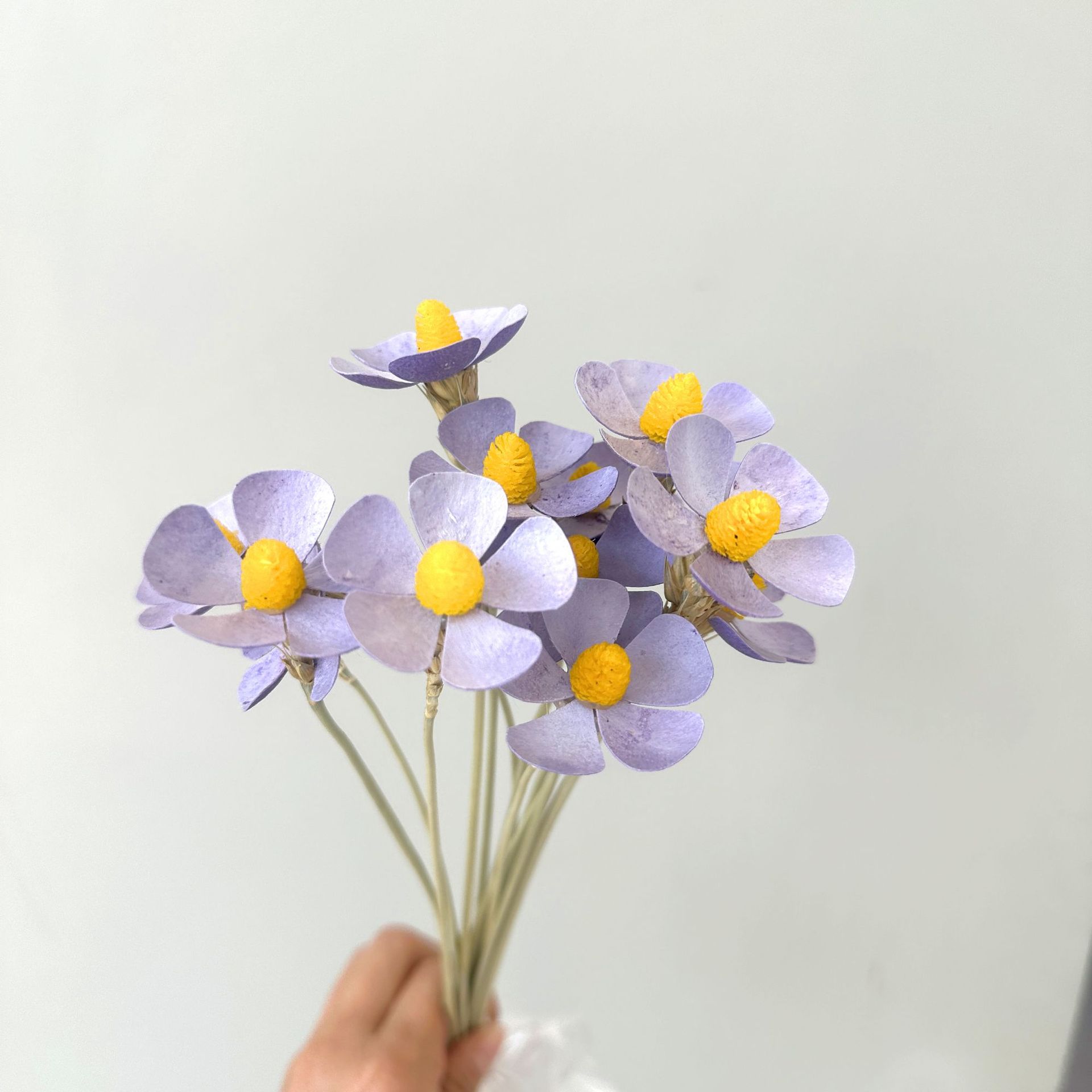 라이트 퍼플 12개 스틱/팩