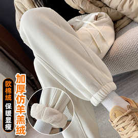 大码仿羊羔绒加厚运动裤女秋冬欧棉绒休闲灯笼裤宽松束脚加绒卫裤