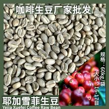 ȁҮѩˮϴ®aȶ16ĿSbl