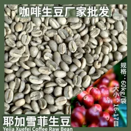 速溶咖啡;咖啡生豆;咖啡豆