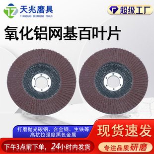 Customized Aluminum Oxide Mesh-Backed Abrasive Flap Disc Sintered Material Mesh Cover Flat Sanding Cloth Wheel Sandpaper Grinding Disc Flap Disc