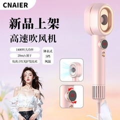 新型ヘアドライヤー、家庭用高濃度マイナスイオン、恒温速乾、ヘアケア、高速送風、越境専用