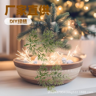 �S�����lDIYˮ�� �羳؛Դ�}�Q���}�Q��Gֲ�廨�b������������