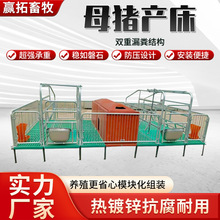 尺寸/配置可选猪场专用双体分娩床热镀锌抗腐可调限位栏母猪产床
