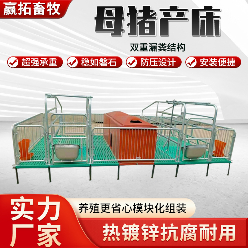 尺寸/配置可选猪场专用双体分娩床热镀锌抗腐可调限位栏母猪产床
