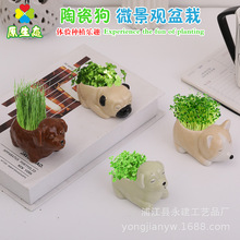 DIY白瓷小狗摆件 创意儿童学生礼品 家居饰品盆栽 迷你植物花盆