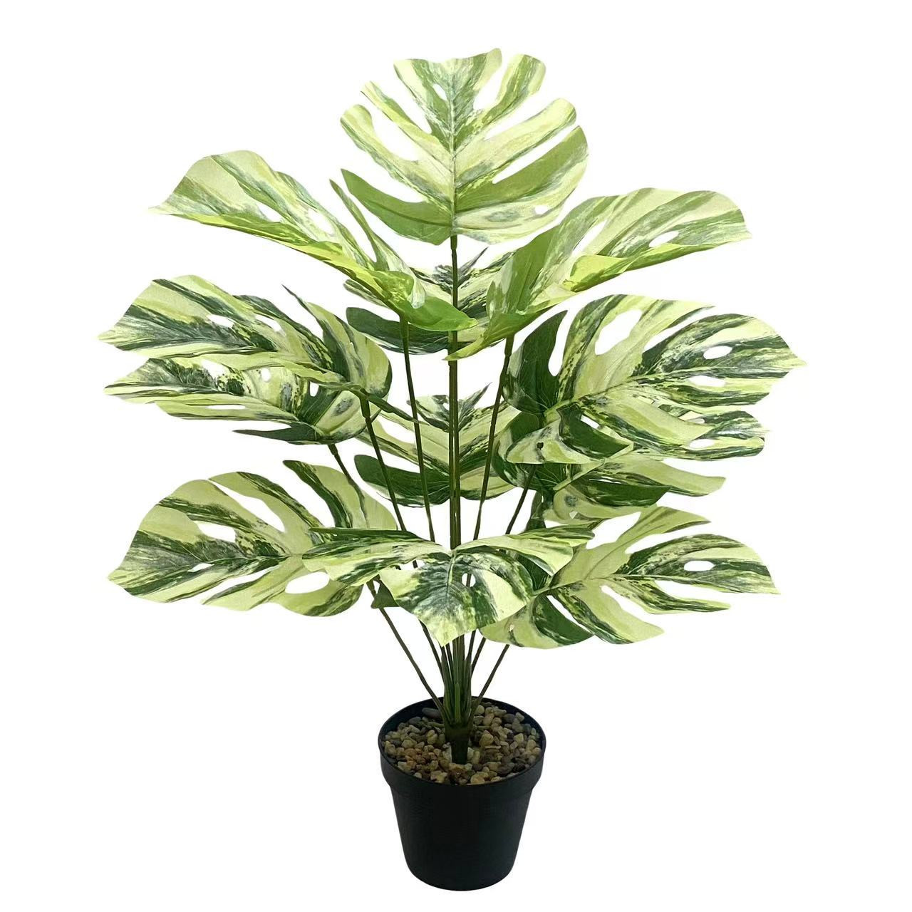 微信图片_20250430181953_副本