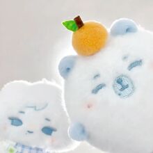 TF���������܌���С���10cm�޻����޿ɐ�ë�q������ż��߅�Y��