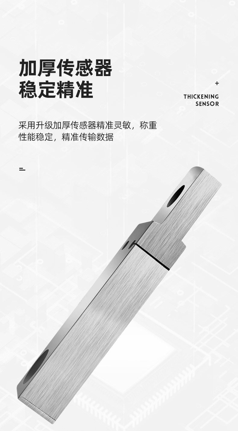 大吊钩秤 (8).jpg