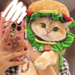 ペットの猫の服のハンバーガーの猫の頭はペットの帽子の犬をかぶって写真を撮ります。
