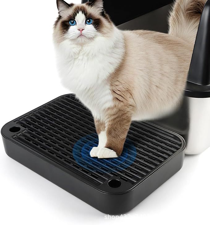 71diJuE8Z4L._AC_SX679_.jpg