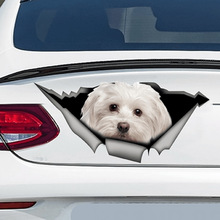 V 77305 Car Sticker Cartoon Dog ������ֽ �羳ŷ������ѷ