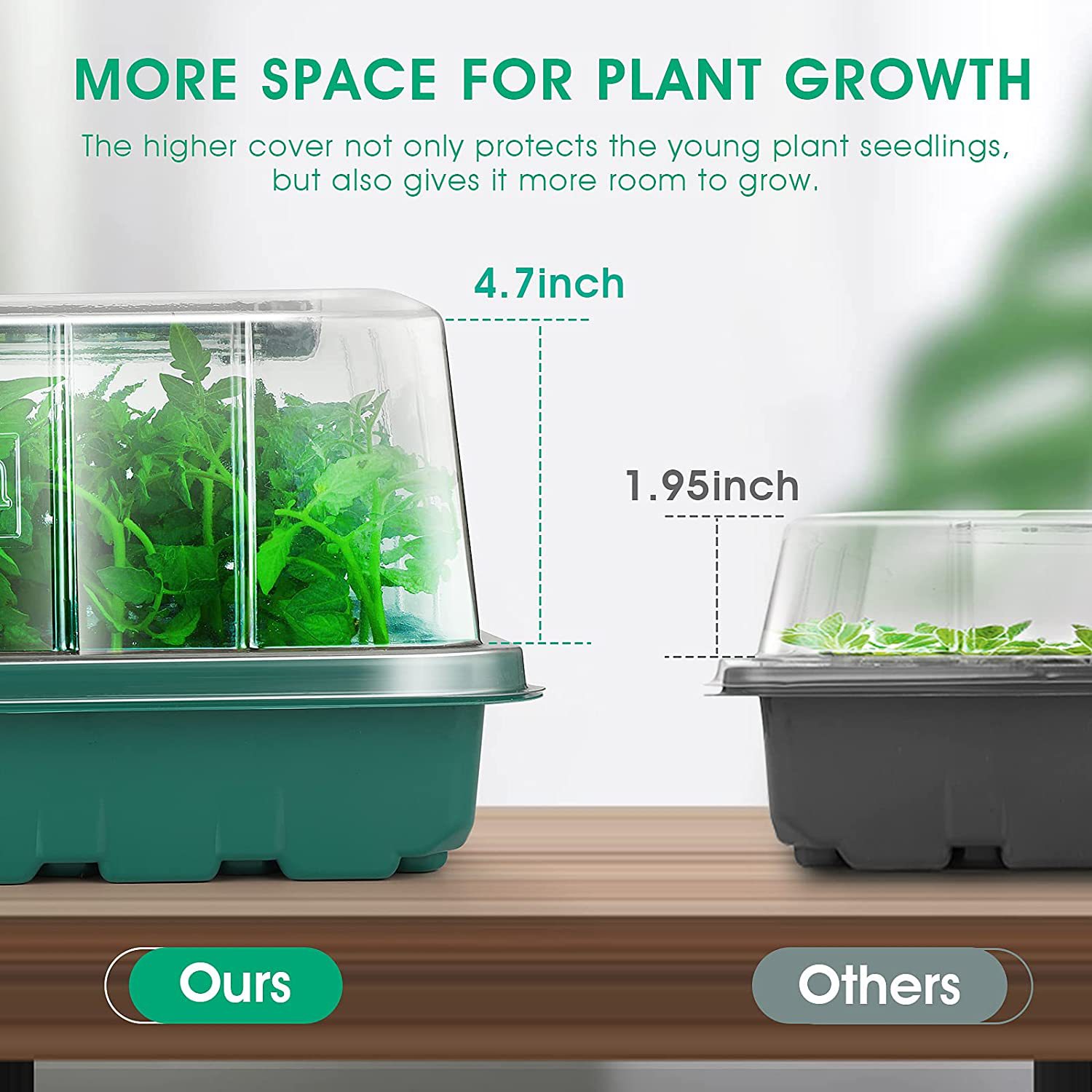 71C9sFF6LbL._AC_SL1500_