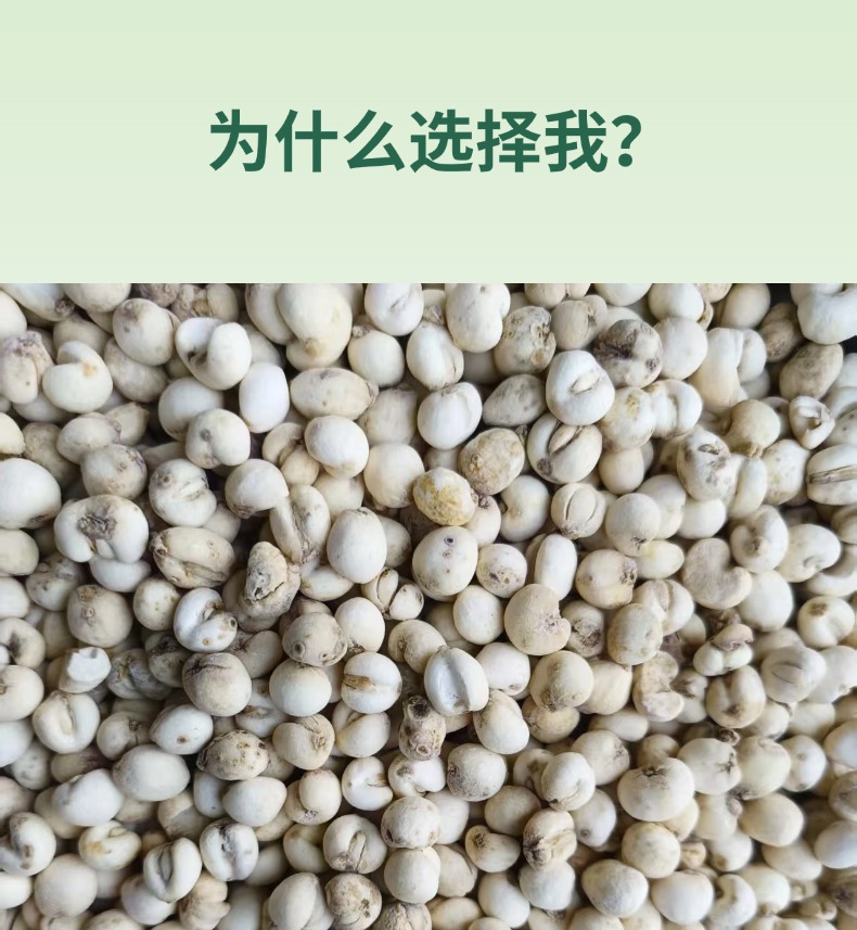 Dried Fritillaria Bulb Bei Mu 500g Bagged Herbal Decoction Pieces key features
