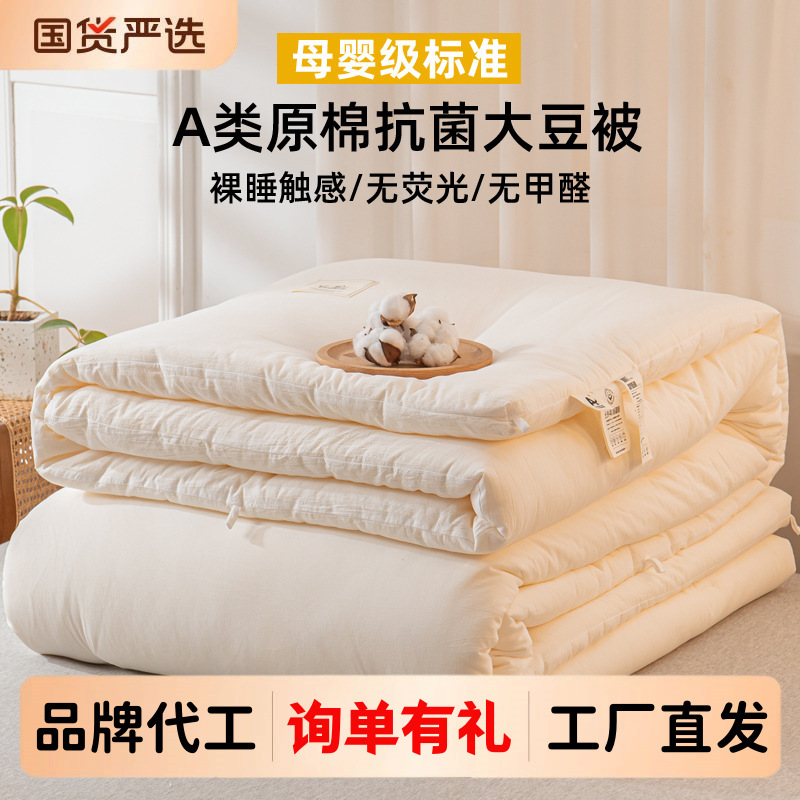 Class a Raw Cotton Soy Fiber Quilt Core Winter Quilt Air-Conditioned Quilt Winter Thickeneded Warm Spring & Fall Quilt Universal for All Seasons