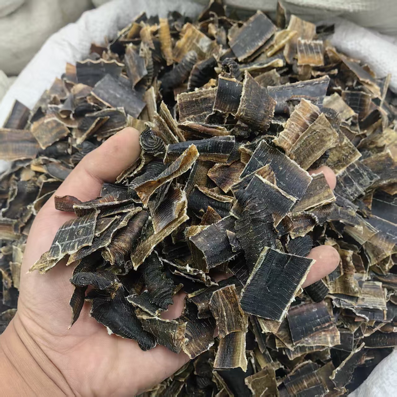 Dried Earthworm Di Long Slices Salt-Free Sand-Free Guangxi 2025 Harvest 500g Powder Option specifications