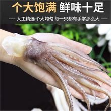 ���rצ���~���~������~�^��������öΟ�����������F�������l؛