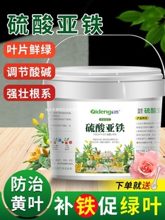 Ferrous Sulfate Flower Fertilizer for Acid-Loving Plants Such as Gardenia, Camellia, Azalea, Osmanthus, Water-Soluble Fertilizer to Prevent Yellow Leaves