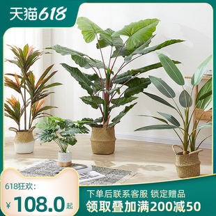 ͱWֲB˽[Gֲ҃ȿ͏db