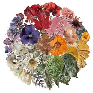 50��/�ׄ���ֲ��˱�����PET͸�����|�N������ˮ���֙C����X�N