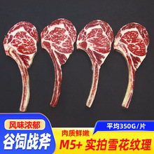 �߶˺������͏dƵ����l������ѩ������˹M5���������ţ��