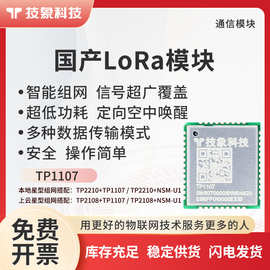 技象物联自动组网低功耗射频无线通信数据收发国产LoRa模块433470