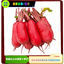 Ptˮ}mMڰٺϷN피tRɏ˰