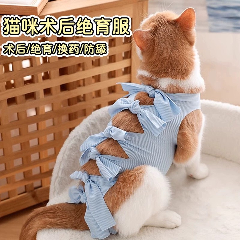 猫咪绝育服母猫手术服衣服透气戒奶服奶服公猫防舔术后宠物猫猫|undefined
