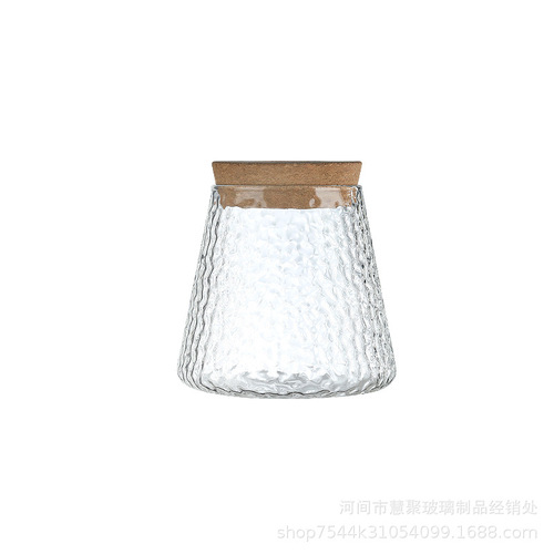Aquatic plant eco-bottle, water-plant pot, glass vase for money plant and lucky bamboo, miniature landscape glass vase