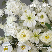 ���������Ż����b��ܚq��ϵ�۰�ɫ������׻���c���ò���·����