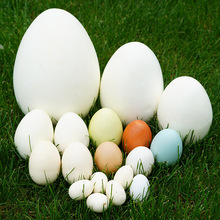 仿真鸡蛋模型鹅蛋儿童彩绘蛋恐龙蛋手工幼儿园DIY绘画鸵鸟蛋玩具